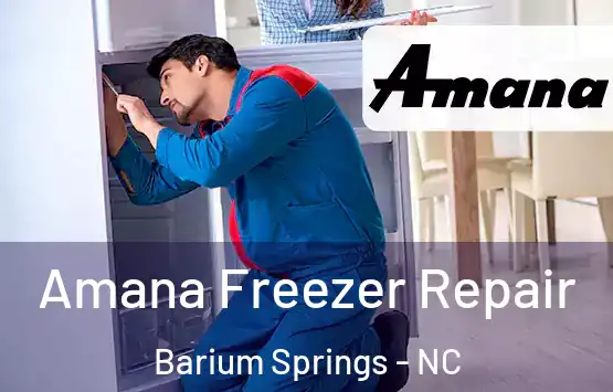  Amana Freezer Repair Barium Springs - NC