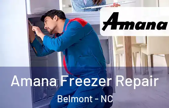  Amana Freezer Repair Belmont - NC