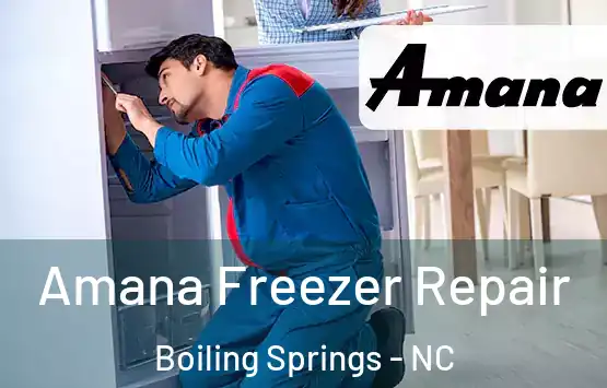  Amana Freezer Repair Boiling Springs - NC