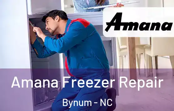  Amana Freezer Repair Bynum - NC