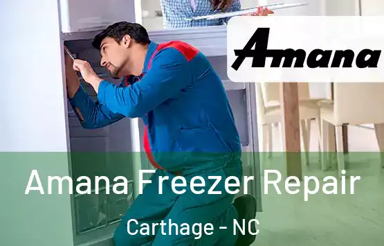  Amana Freezer Repair Carthage - NC