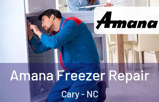  Amana Freezer Repair Cary - NC