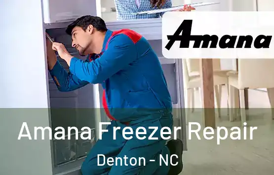  Amana Freezer Repair Denton - NC