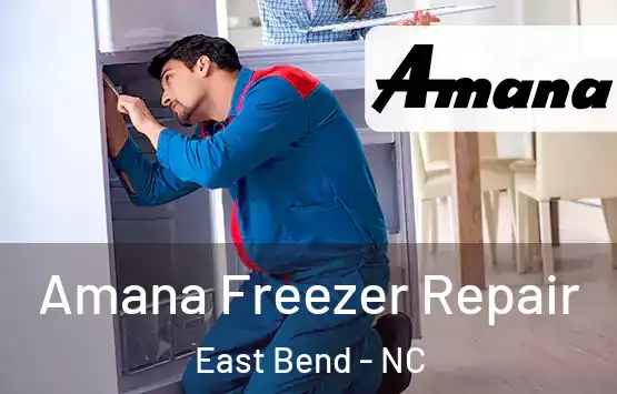  Amana Freezer Repair East Bend - NC