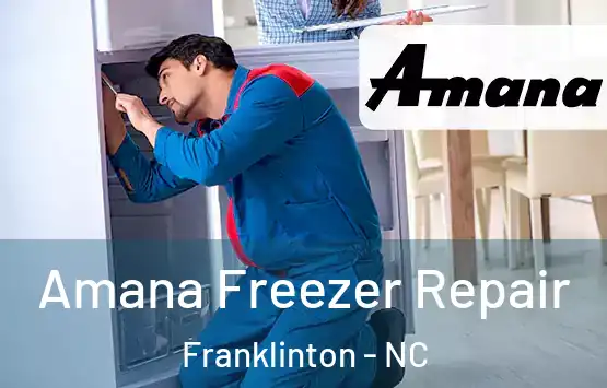  Amana Freezer Repair Franklinton - NC