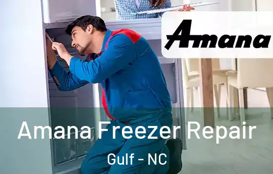  Amana Freezer Repair Gulf - NC