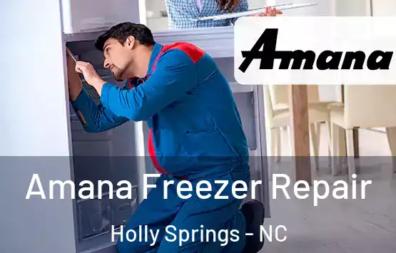  Amana Freezer Repair Holly Springs - NC