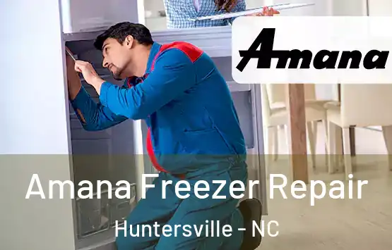  Amana Freezer Repair Huntersville - NC