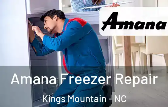  Amana Freezer Repair Kings Mountain - NC
