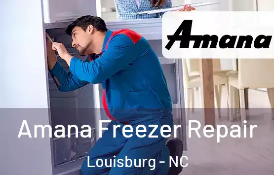  Amana Freezer Repair Louisburg - NC