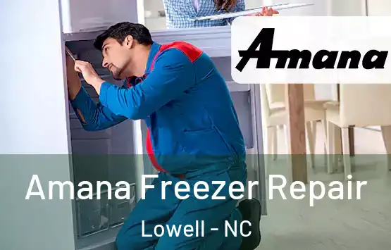  Amana Freezer Repair Lowell - NC
