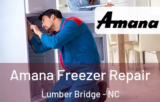  Amana Freezer Repair Lumber Bridge - NC