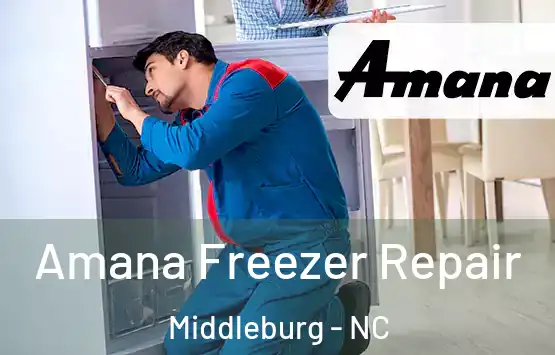  Amana Freezer Repair Middleburg - NC