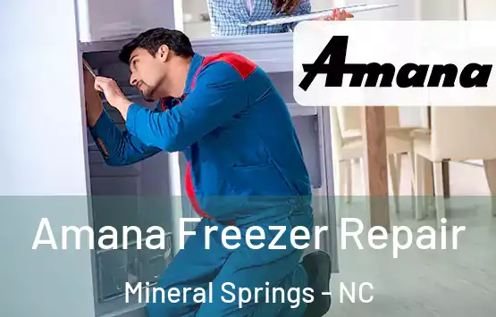  Amana Freezer Repair Mineral Springs - NC