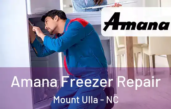 Amana Freezer Repair Mount Ulla - NC