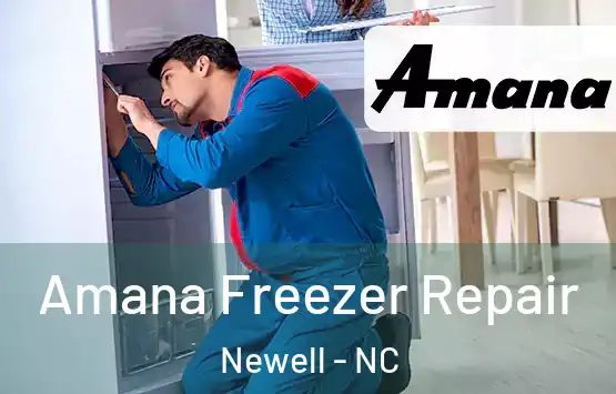  Amana Freezer Repair Newell - NC