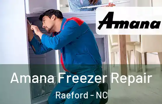  Amana Freezer Repair Raeford - NC