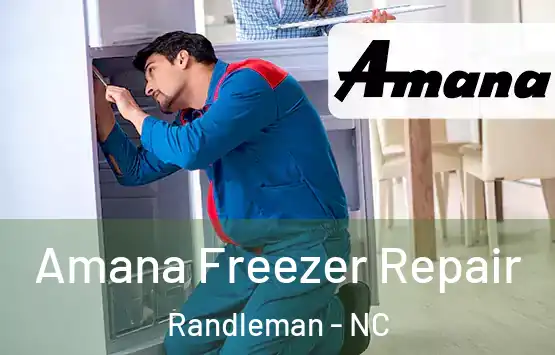  Amana Freezer Repair Randleman - NC