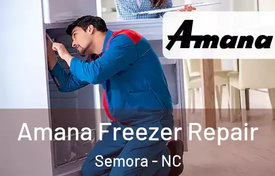  Amana Freezer Repair Semora - NC