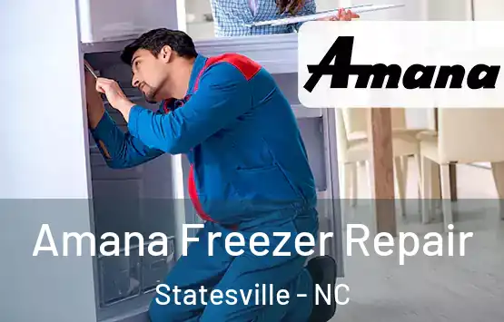  Amana Freezer Repair Statesville - NC