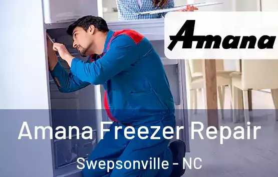  Amana Freezer Repair Swepsonville - NC