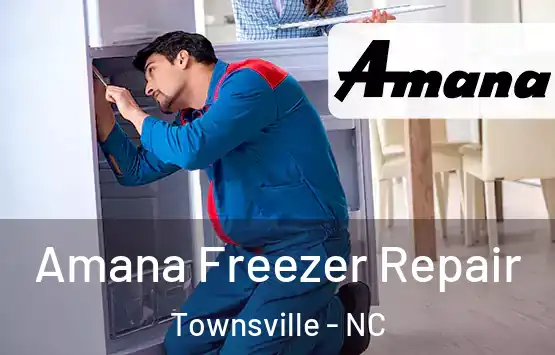  Amana Freezer Repair Townsville - NC