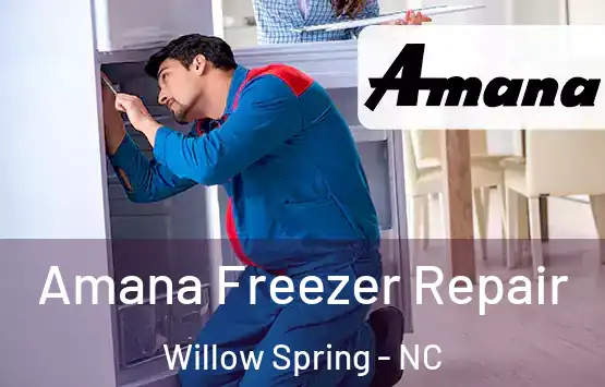  Amana Freezer Repair Willow Spring - NC