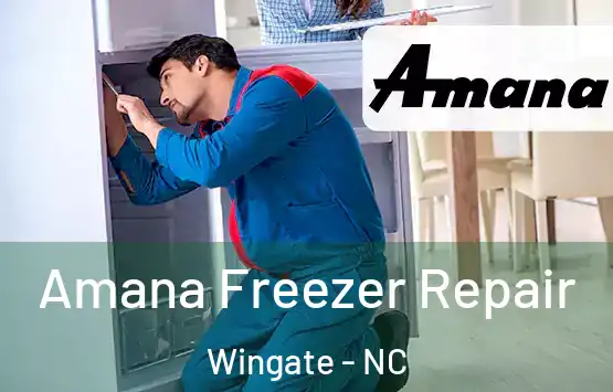  Amana Freezer Repair Wingate - NC