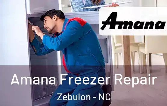  Amana Freezer Repair Zebulon - NC