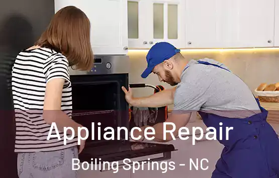  Appliance Repair Boiling Springs - NC
