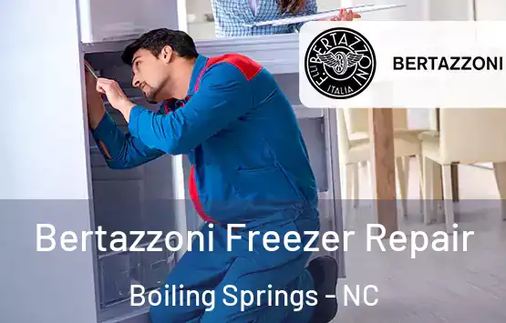  Bertazzoni Freezer Repair Boiling Springs - NC