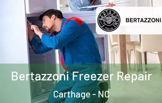  Bertazzoni Freezer Repair Carthage - NC