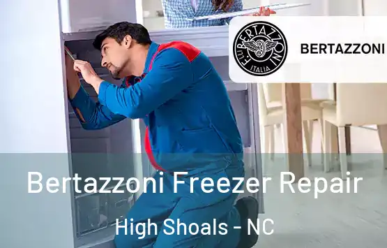  Bertazzoni Freezer Repair High Shoals - NC