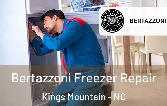  Bertazzoni Freezer Repair Kings Mountain - NC