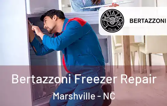  Bertazzoni Freezer Repair Marshville - NC