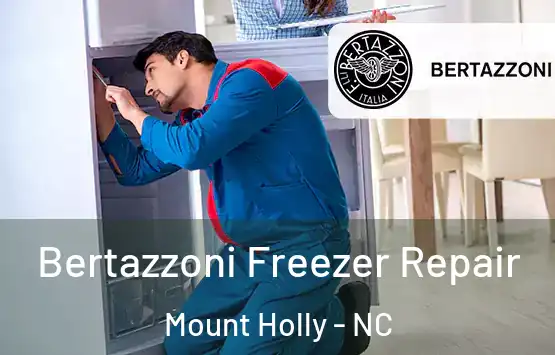  Bertazzoni Freezer Repair Mount Holly - NC