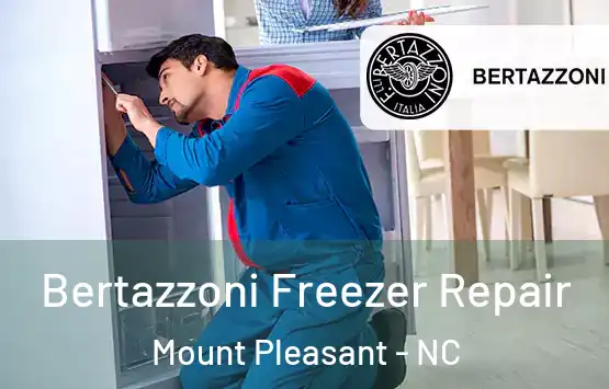  Bertazzoni Freezer Repair Mount Pleasant - NC