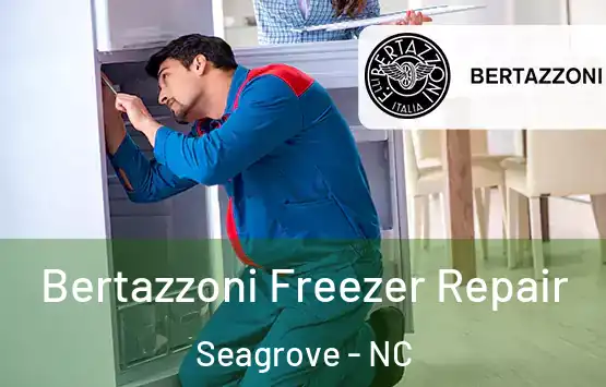  Bertazzoni Freezer Repair Seagrove - NC