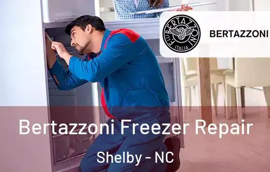  Bertazzoni Freezer Repair Shelby - NC