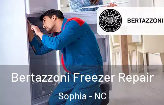  Bertazzoni Freezer Repair Sophia - NC