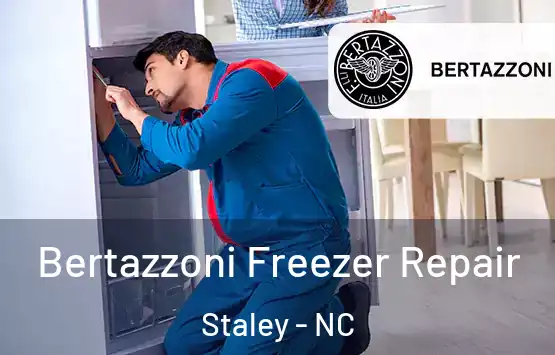  Bertazzoni Freezer Repair Staley - NC