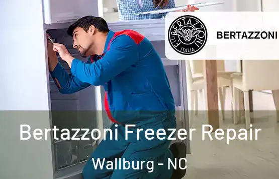  Bertazzoni Freezer Repair Wallburg - NC