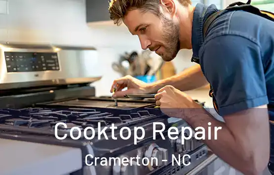  Cooktop Repair Cramerton - NC