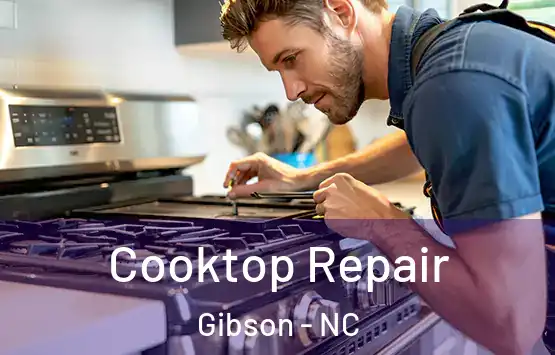  Cooktop Repair Gibson - NC