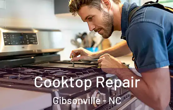  Cooktop Repair Gibsonville - NC