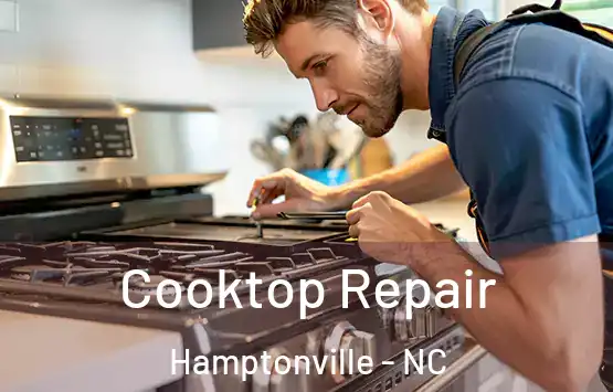  Cooktop Repair Hamptonville - NC