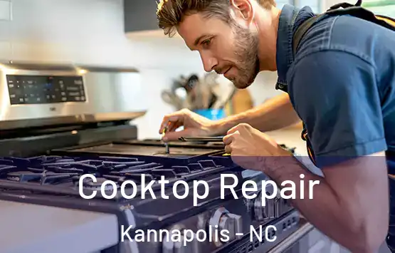  Cooktop Repair Kannapolis - NC