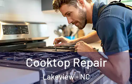  Cooktop Repair Lakeview - NC