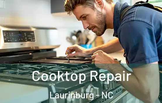  Cooktop Repair Laurinburg - NC