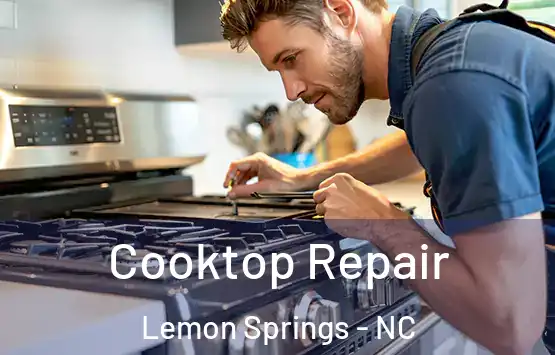  Cooktop Repair Lemon Springs - NC